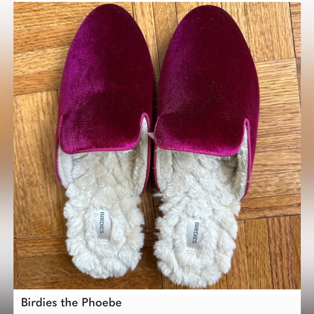 Birdies the Phoebe